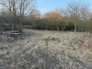 Prodej zahrady, Litoměřice - Předměstí, Veveří, 3183 m2