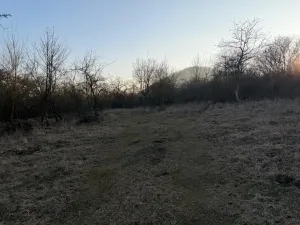 Prodej zahrady, Litoměřice - Předměstí, Veveří, 3183 m2