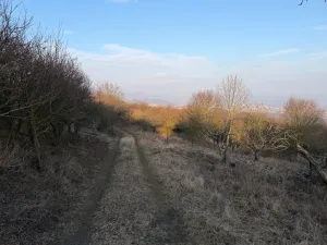 Prodej zahrady, Litoměřice - Předměstí, Veveří, 3183 m2