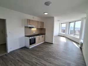 Pronájem bytu 1+kk, Plzeň, Železniční, 43 m2