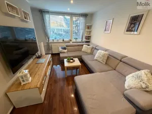 Prodej bytu 3+1, Most, Bohuslava Vrbenského, 68 m2