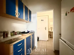 Prodej rodinného domu, Skršín, 524 m2