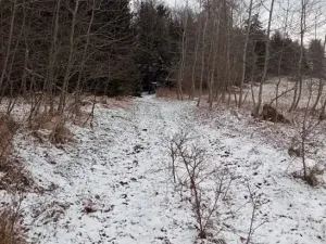 Dražba pole, Sušice, 4799 m2