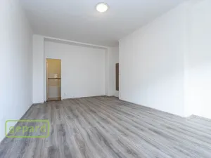 Pronájem bytu 1+1, Praha, Pod Drinopolem, 53 m2