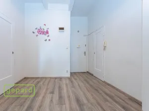 Pronájem bytu 1+1, Praha, Pod Drinopolem, 53 m2