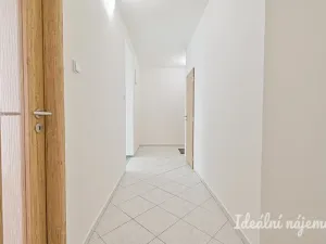 Pronájem bytu 2+1, Brno, Bayerova, 59 m2