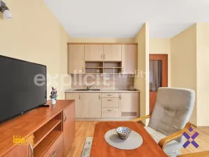 Prodej bytu 1+kk, Luhačovice, Solné, 44 m2