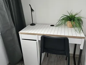 Pronájem bytu 2+kk, Plzeň, Lobezská, 46 m2