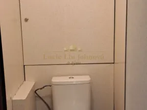 Prodej bytu 2+kk, Praha - Černý Most, Vybíralova, 43 m2