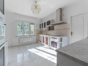 Prodej rodinného domu, Družec, V Zátiší, 289 m2