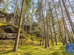 Prodej pozemku pro bydlení, Srbská Kamenice, 170714 m2