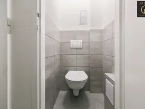 Pronájem bytu 2+1, Praha - Košíře, Vrchlického, 46 m2