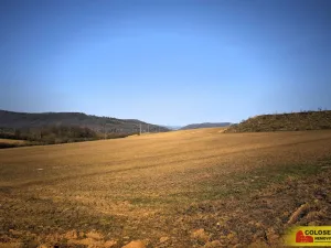 Prodej pole, Veverská Bítýška, 29059 m2