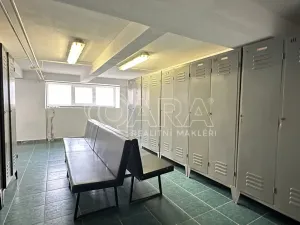 Prodej výrobních prostor, Luby, 1300 m2