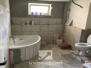 Prodej vícegeneračního domu, Brodek u Konice, 250 m2