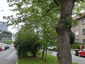 Pronájem bytu 3+kk, Praha, Kladenská, 82 m2