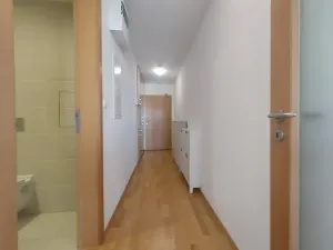 Pronájem bytu 1+kk, Praha - Žižkov, 38 m2