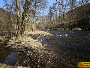 Prodej chaty, Borač, 50 m2