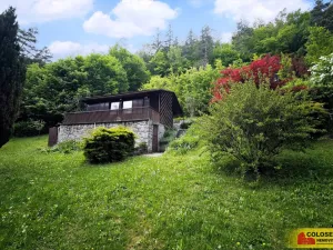 Prodej chaty, Borač, 50 m2