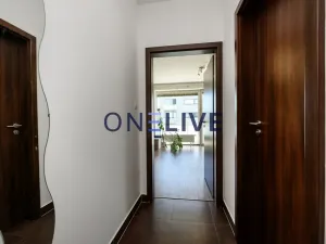 Pronájem bytu 2+kk, Plzeň, Střední cesta, 51 m2