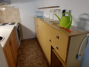 Prodej bytu 2+kk, Ústí nad Labem, Žežická, 48 m2