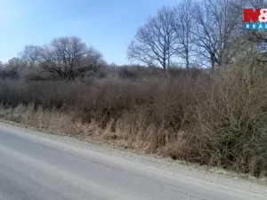 Prodej pozemku, Jinín, 3389 m2