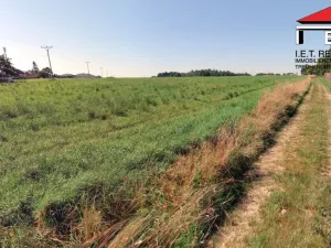 Prodej pozemku pro bydlení, Spálov, 1310 m2