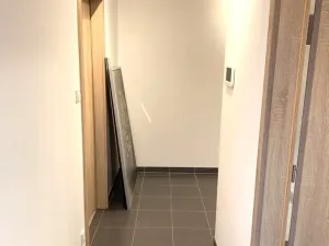 Pronájem bytu 2+kk, Plzeň - Jižní Předměstí, Stehlíkova, 50 m2