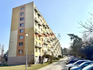 Pronájem bytu 2+1, Brno - Štýřice, Jílová, 55 m2