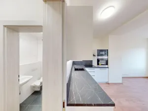 Pronájem bytu 1+kk, Praha - Břevnov, Na Petynce, 35 m2