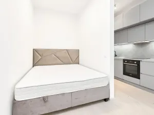 Prodej bytu 1+kk, Praha - Žižkov, Hartigova, 45 m2