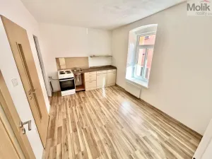 Prodej vícegeneračního domu, Luby, Chebská, 445 m2