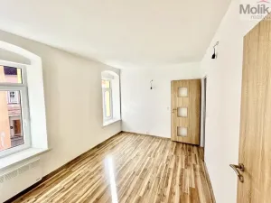Prodej vícegeneračního domu, Luby, Chebská, 445 m2