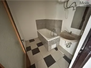 Prodej vícegeneračního domu, Luby, Chebská, 445 m2