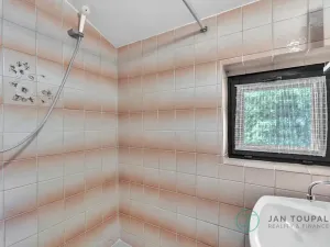 Prodej rodinného domu, Janov, 300 m2