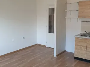 Pronájem bytu 1+1, Teplice, Javorová, 45 m2