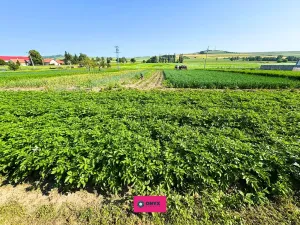 Prodej pozemku pro bydlení, Hodějice, 1062 m2