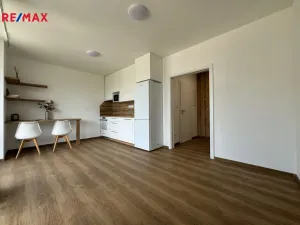 Pronájem bytu 1+kk, Olomouc, Camilla Sitteho, 27 m2