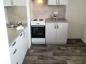 Pronájem bytu 1+1, Ostrava - Poruba, Maďarská, 39 m2