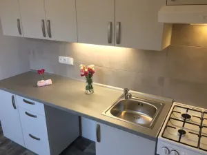 Pronájem bytu 2+1, Ostrava - Zábřeh, Patrice Lumumby, 55 m2