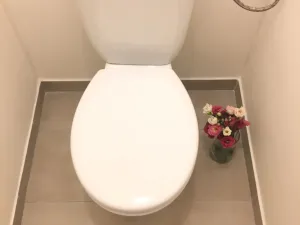 Pronájem bytu 2+1, Ostrava - Zábřeh, Patrice Lumumby, 55 m2