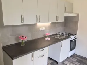 Pronájem bytu 1+1, Ostrava - Zábřeh, Svazácká, 35 m2