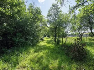 Pronájem zahrady, Brno, Zelná, 3109 m2