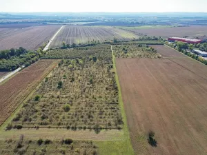 Prodej komerčního pozemku, Brno, 11220 m2