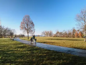 Prodej bytu 2+kk, Praha - Žižkov, Jana Želivského, 50 m2