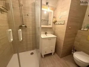 Pronájem bytu 2+1, Most, Slovenského národního povstání, 55 m2