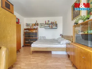 Prodej bytu 1+1, Plzeň - Severní Předměstí, Brněnská, 38 m2