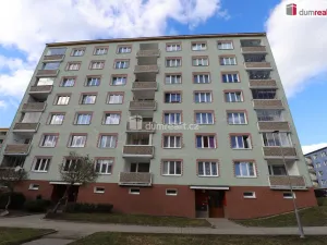 Pronájem bytu 1+1, Kraslice, B. Smetany, 36 m2