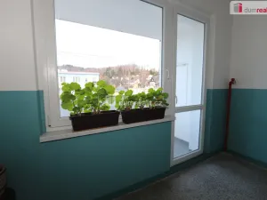 Pronájem bytu 1+1, Kraslice, B. Smetany, 36 m2