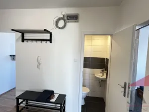 Pronájem bytu 3+1, Plzeň - Doubravka, Na Dlouhých, 61 m2